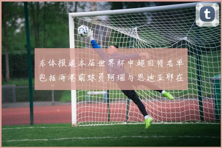 东体报道本届世界杯中超旧将名单包括海港前球员阿瑙与恩迪亚耶在内的10位球员